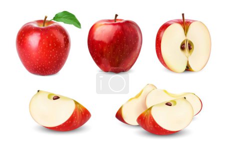 Illustration for Realistic red apple whole fruit, slice and half with green leaf, vector food. Isolated 3d ripe fresh apple cutted into juicy wedges with brown seeds and red peel, summer fruit of farm orchard tree - Royalty Free Image