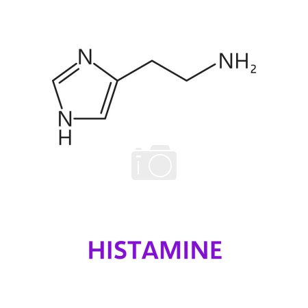 Illustration for Neurotransmitter, Histamine chemical formula and molecule, vector molecular structure. Histamine, neurotransmitter in nervous or immune system and neuron receptor modulator in chemical structure - Royalty Free Image