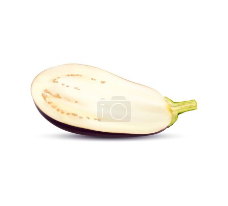 Raw realistic eggplant vegetable half, ripe isolated veggie. 3d vector lengthwise section of plant reveals its soft, cream-colored flesh with seeds, ready to be cooked into savory dishes and delights