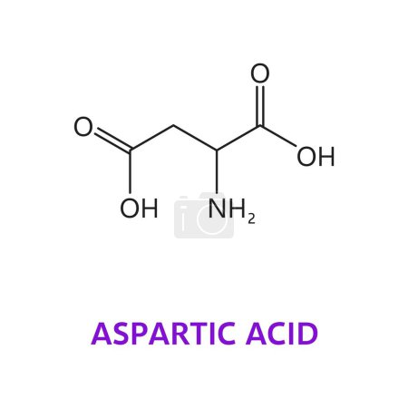 Neurotransmisor, fórmula química de ácido aspártico y estructura molecular, molécula vectorial. Fórmula molecular de ácido aspártico o aspartato del neuromodulador o neurotransmisor en la biosíntesis del cuerpo humano