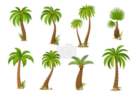 Illustration for Cartoon jungle coconut palm trees. Vivid vector set featuring isolated jungle plants with lush fronds, capturing the essence of tropical beauty. Vibrant exotic flora, 2d game assets or gui elements - Royalty Free Image