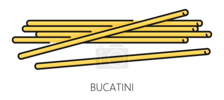 Illustration for Bucatini or perciatelli pasta of durum wheat flour isolated color outline icon. Vector thick spaghetti-like pasta with hole, italian cuisine food - Royalty Free Image