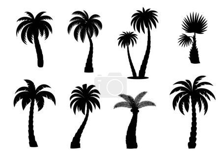 Ilustración de Selva cocoteros palmeras siluetas aisladas vector iconos monocromáticos conjunto. Plantas de playa tropicales con troncos curvos y hojas exuberantes. Símbolos del paraíso exótico, viajes, vacaciones y balneario - Imagen libre de derechos