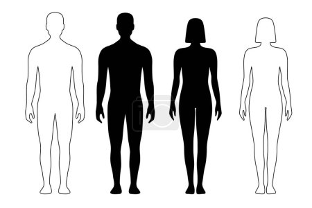 Illustration for Man and woman human body silhouette, outline figure, patient front view contour. Isolated vector monochrome male and female person shapes, standing full height. Bare and naked slim healthy people - Royalty Free Image