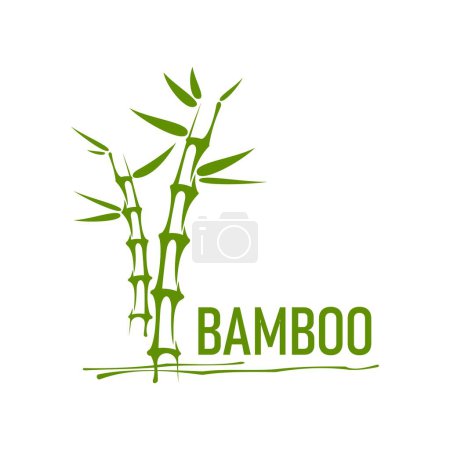 Illustration for Asian bamboo logo icon, spa massage, beauty and health symbol. Vector emblem with green bamboo stems and leaves embodies tranquility, balance and vitality, symbolize holistic wellness and rejuvenation - Royalty Free Image