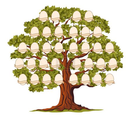 Illustration for Isolated genealogy family tree, ancestry history branch frames. Pedigree chart vector template, empty photo frames and paper scrolls. Cartoon genealogy tree of family generations, lineage, bloodline - Royalty Free Image