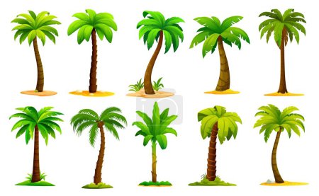 Ilustración de Conjunto de palmeras de la selva de dibujos animados, coco y plátano plantas tropicales. Palmeras vectoriales aisladas con troncos altos y delgados, balanceándose en las frondas verdes brisa. Exótica vegetación paraíso, elementos del juego - Imagen libre de derechos