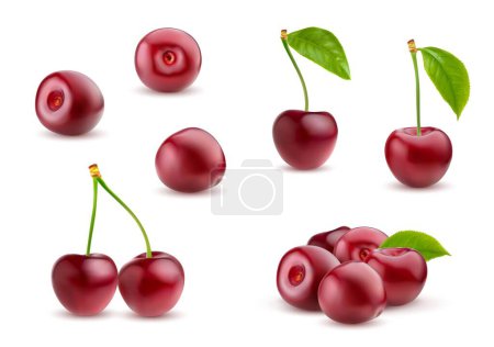 Realistic ripe cherry. Isolated raw red cherry berry 3d vector set. Ripe, bountiful mound of berries, glistening with vibrant hues, tempting taste buds with succulent allure and natural sweetness