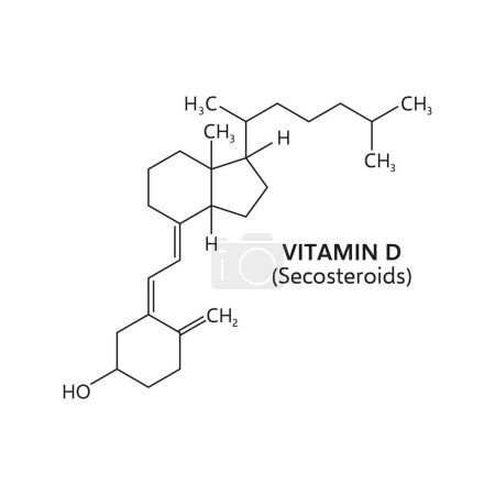 Fórmula de vitamina D, estructura química de la línea vectorial de los secoesteroides elaborados por la piel o los alimentos, ciencia química, educación médica y salud. Colecalciferol y compuestos moleculares de ergocalciferol