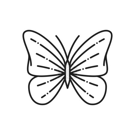 Icono de línea de mariposa para el tatuaje o el ornamento de insectos y el arte de la decoración, contorno vector. Machaon o mariposa monarca insecto con alas abiertas en línea delgada garabato para la decoración o emblema y signo