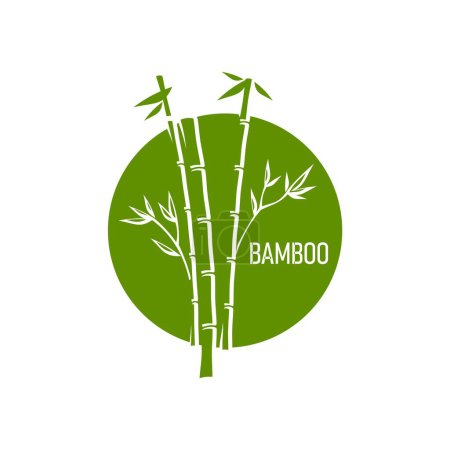 Illustration for Asian bamboo green emblem for SPA massage, beauty and skincare product, vector icon. Health, natural organic cosmetics or beauty salon and Zen SPA center sign with bamboo leaves in green circle - Royalty Free Image