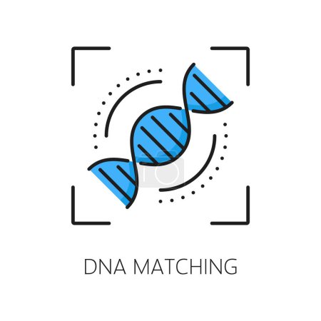 Téléchargez les illustrations : L'icône d'identification, de reconnaissance ou de vérification biométrique correspondant à l'ADN comporte des brins entrelacés à double hélice, symbolisant la connexion génétique. Le signe linéaire vectoriel représente l'identité génétique - en licence libre de droit