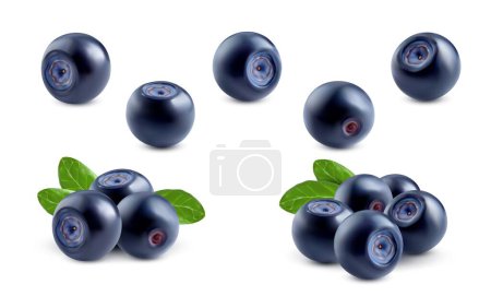 Realistic ripe blueberry. Isolated raw blue berry 3d vector set. Juicy, glistening blaeberries with natural hues, nestled among fresh green leaves, exuding an enticing aroma of summertime sweetness