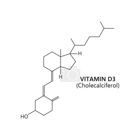 Ilustración de La vitamina d3, o colecalciferol, exhibe una estructura molecular con una columna vertebral de esteroides. Su composición incluye un sistema de anillo hexacíclico esencial para su papel en la absorción de calcio y la salud ósea - Imagen libre de derechos