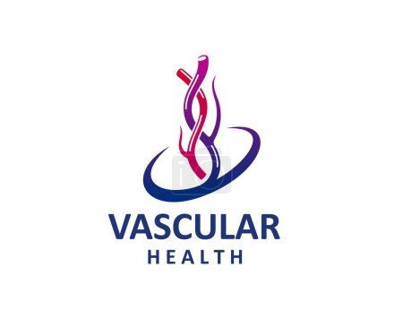 Ilustración de Icono de salud vascular venosa. emblema vectorial aislado de la circulación sanguínea y el bienestar cardiovascular. Símbolo de arteria para la clínica, cuenta con vasos capilares entrelazados en colores rojo, púrpura y azul - Imagen libre de derechos
