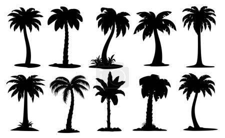 Ilustración de Dibujos animados selva coco y plátano palmeras siluetas, iconos vectoriales. Playa tropical o paraíso de verano isla naturaleza o bosque de cocoteros o plátanos palmeras y plantas exóticas con hojas - Imagen libre de derechos