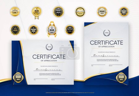 Illustration for Certificate diploma award template with golden seals and blue lines frames borders. Vector business honor gift, achievement certificate, diploma or winner award with gold seals, rosettes and ribbons - Royalty Free Image