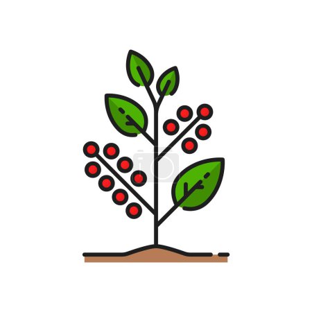 Illustration for Agronomy soil sprout leaves, agriculture green seedling, horticulture spring plant thin line icon. Agriculture or farming harvest, agronomy berry plant grow outline vector sign or color pictogram - Royalty Free Image