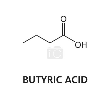 Illustration for Butyric acid molecule formula of chocolate chemical and molecular structure, vector icon. Butyric or butanoic acid molecular bond structure and atom connection of chocolate flavoring ingredient - Royalty Free Image