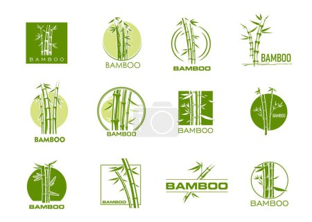 Photo for Bamboo icons, spa massage, beauty and health symbols with green trees and leaves vector silhouettes. Asian jungle forest bamboo plant stalks isolated badges, resort, hotel, organic cosmetics emblems - Royalty Free Image