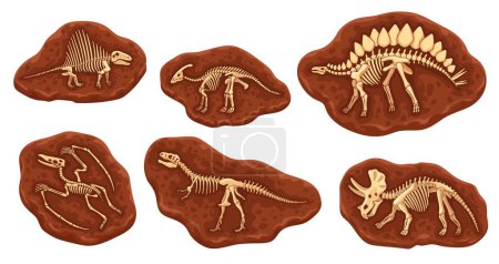 Illustration for Cartoon dinosaur fossil bones in stone. Dino animal skeletons, vector geology, archeology and paleontology science. Tyrannosaurus, triceratops, spinosaurus, stegosaurus, pterodactyl, parasaurolophus - Royalty Free Image