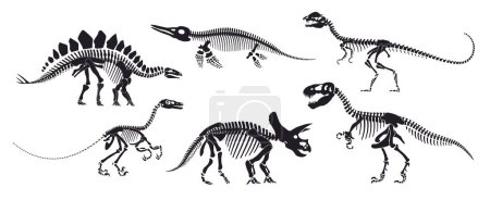 Téléchargez les illustrations : Squelette de dinosaure fossile, os de dino isolés. Silhouettes d'animaux reptiles vecteurs. Avaceratops, basilosaurus, stegosaurus, eoraptor, gallimimus, tyrannosaure anciens vestiges préhistoriques reptiliens - en licence libre de droit
