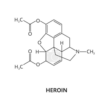 Ilustración de Molécula de la droga de la heroína, fórmula y estructura química del narcótico opioide, modelo del vector. Droga sintética heroína o diacetilmorfina, estimulante prohibido y estructura molecular de sustancias psicoactivas - Imagen libre de derechos