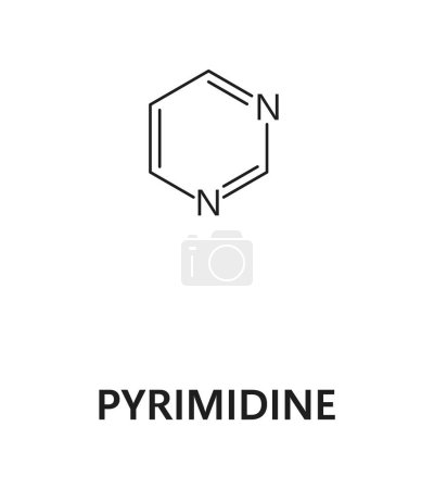 Pyrimidin-Nukleinsäure, Stickstoffbasis, Stickstoff und Wasserstoffformel. Stickstoff- und Wasserstoffbiologie Molekularstruktur, DNA-Stickstoffbasen-Mikrobiologie-Molekül oder Nukleinsäurevektorformel