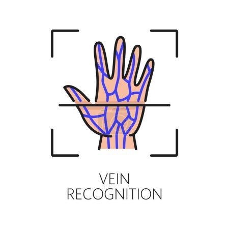 Reconnaissance des veines icône d'identification ou de vérification biométrique. Signe vectoriel linéaire de la main avec motif vasculaire unique symbolisant la technologie d'authentification avancée pour une identification précise et sécurisée