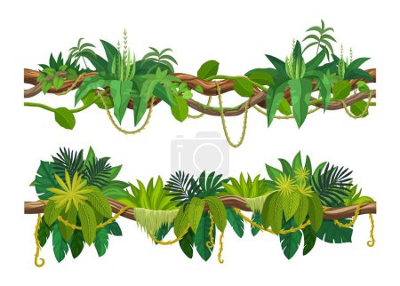 Tropischer Dschungel Wald Lianenzweig. Cartoon Vektor Blätter und hängende Wurzeln. Afrikanischer Regenwald Baumdickicht, Spinney, Wald kletterndes grünes Laub. Amazonas Flora Lianen, tropische Natur