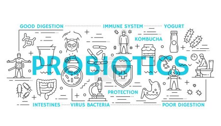 Intestine health and probiotics line vector icons or infographics. Yogurt, kombucha, intestines and bacteria. Poor or good digestion, immune system, protection linear symbols in black and blue colors