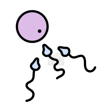 Icône spermatozoïde et ovocyte. contour audacieux modifiable avec la conception de remplissage de couleur. Illustration vectorielle.