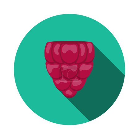 Icon Of Raspberry In Ui Colors. Flat Circle Stencil Design With Long Shadow. Vector Illustration.