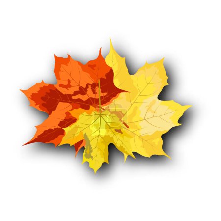 Ilustración de Plantilla de ramo de hojas de otoño decorar con hojas de arce en tono cálido para la venta de compras o promoción de póster y banner web. Ilustración vectorial. - Imagen libre de derechos