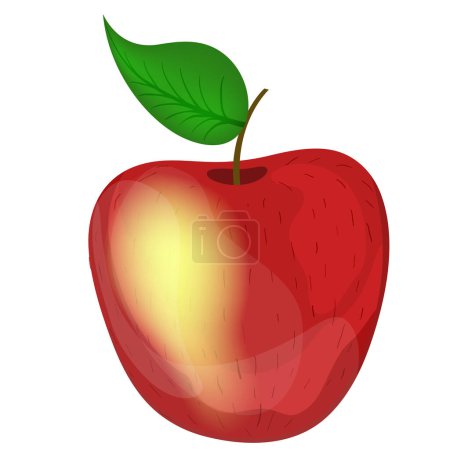 Apple cartoon isolated vector illustration on white background. Apple tree fruit. Realistic cartoon apple illustration with glow.