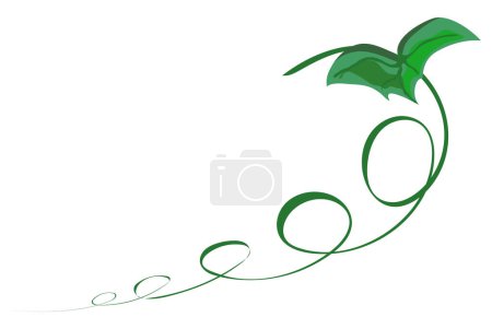 Pumpkin stem sprout cartoon isolated vector illustration on white background. Pumpkin sprout. Realistic pumpkin sprout illustration.
