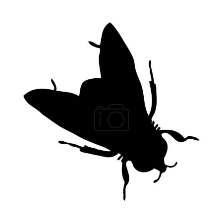 Silhouette de mouche. Gros plan détaillé sur le vol. Icône de mouche vectorielle sur fond blanc.