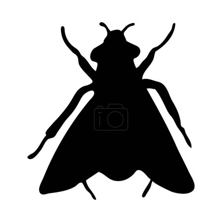 Silueta de mosca. Volar primer plano detallado. Icono de mosca vectorial sobre fondo blanco.