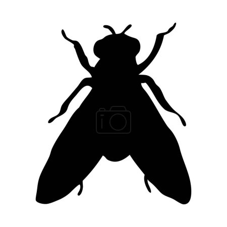 Silhouette of fly. Fly close-up detailed. Vector fly icon on white background.
