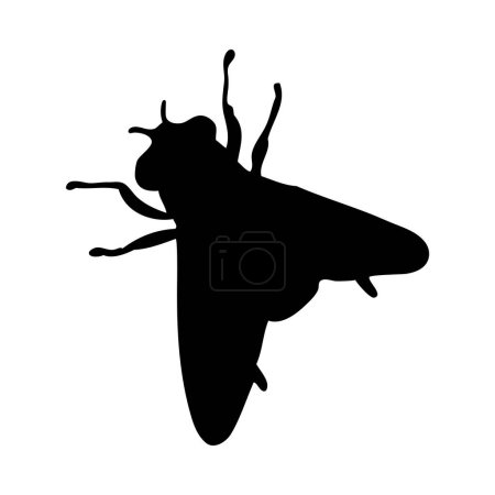 Silhouette of fly. Fly close-up detailed. Vector fly icon on white background.