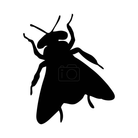 Silhouette de mouche. Gros plan détaillé sur le vol. Icône de mouche vectorielle sur fond blanc.