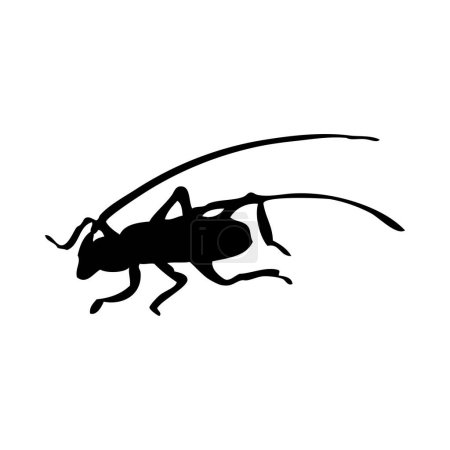Silhouette von Käfer. Käfer aus nächster Nähe. Vektorkäfer-Symbol auf weißem Hintergrund.