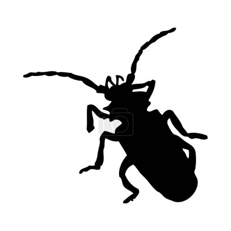 Illustration for Silhouette of beetle. Beetle close-up detailed. Vector beetle icon on white background. - Royalty Free Image