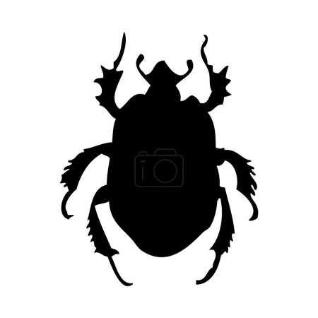 Illustration for Silhouette of beetle. Beetle close-up detailed. Vector beetle icon on white background. - Royalty Free Image