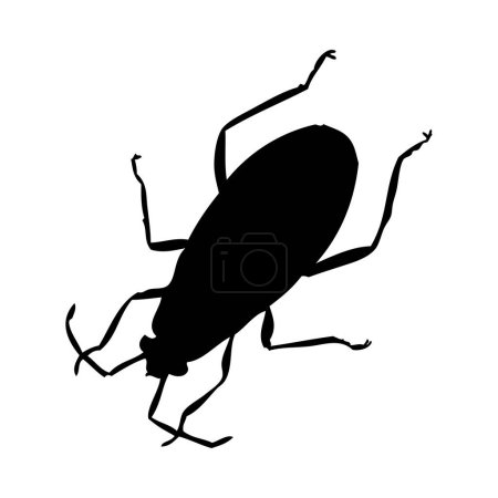 Silhouette of beetle. Beetle close-up detailed. Vector beetle icon on white background.