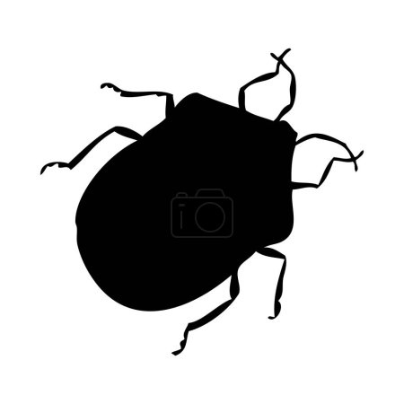 Silhouette eines Käfers. Bug Nahaufnahme detailliert. Vektor-Bug-Symbol auf weißem Hintergrund.