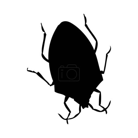 Silueta de insecto. Bug primer plano detallado. Icono de error vectorial sobre fondo blanco.