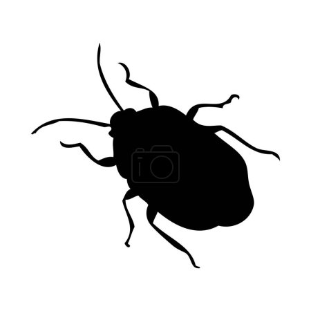 Silhouette of bug. Bug close-up detailed. Vector bug icon on white background.
