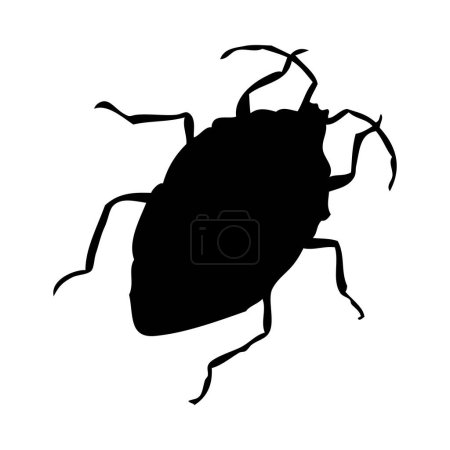 Silhouette d'insecte. Bug gros plan détaillé. Icône de bug vectoriel sur fond blanc.