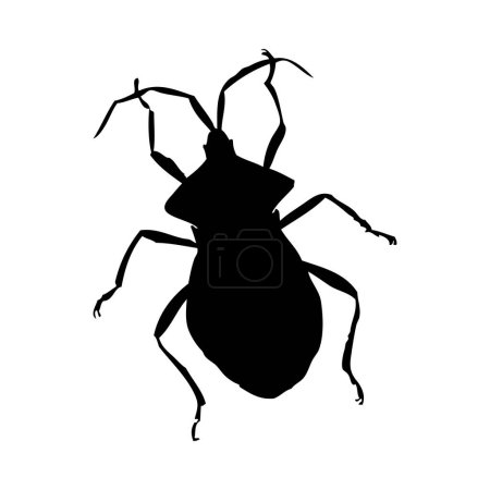 Silhouette of beetle. Beetle close-up detailed. Vector beetle icon on white background.